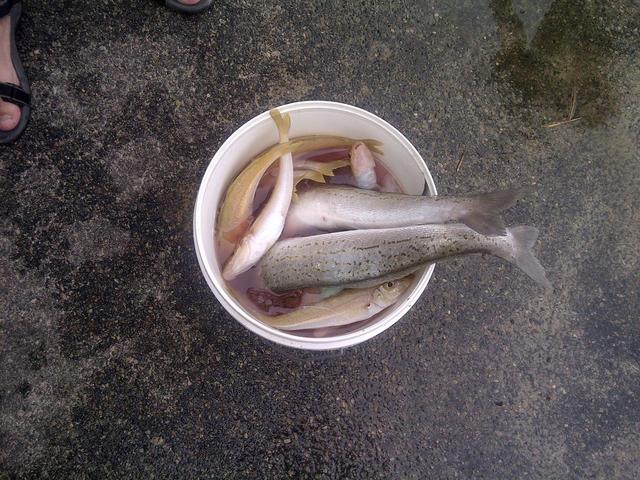 Today's haul Today's haul